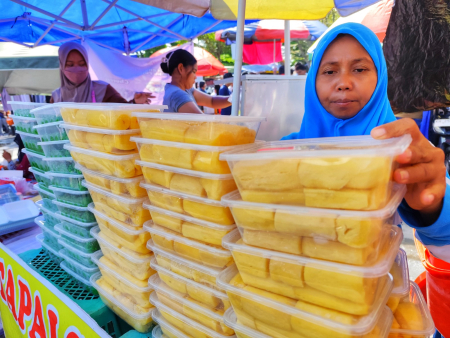 SUSUN TAPAI SINGKONG GAMBUT