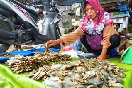SUSUN IKAN SEPAT KERING