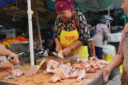 HARGA DAGING AYAM STABIL