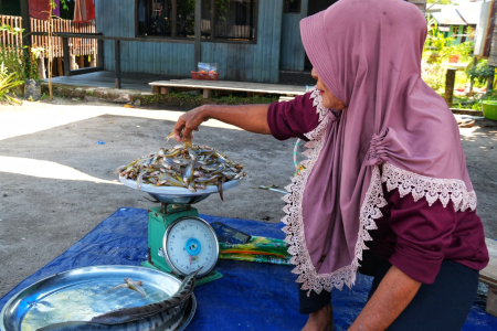 TIMBANG IKAN LAIS