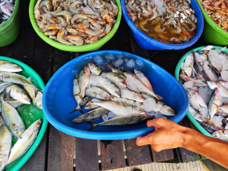 PENJUAL IKAN LAUT