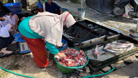 IKAN PATIN PASAR BESAR