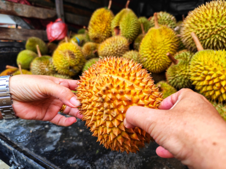 PILIH BUAH DURIAN