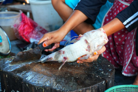 BERSIHKAN IKAN BAUNG 