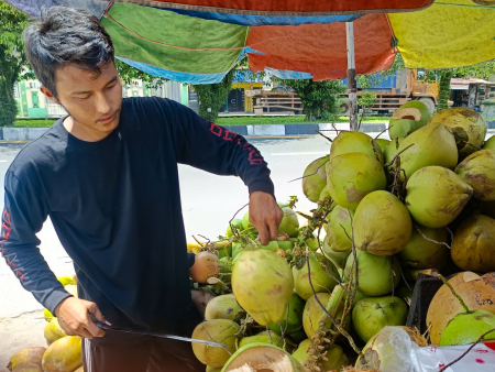 PENJUAL KELAPA MUDA 