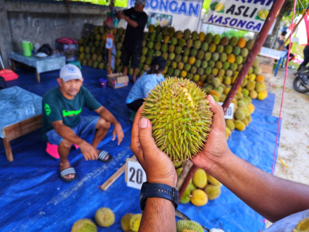 PILIH BUAH DURIAN