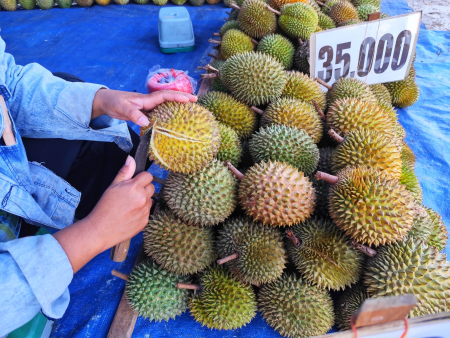 BELAH BUAH DURIAN
