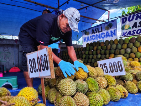 SUSUN BUAH DURIAN