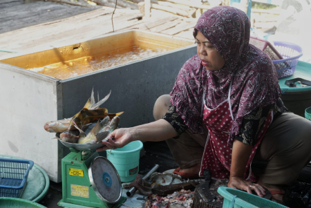 TIMBANG IKAN BAUNG