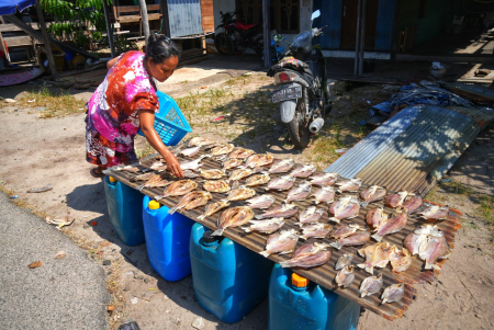 JEMUR IKAN KELABAU