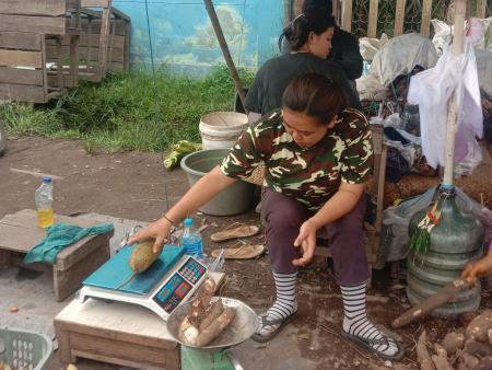 PENJUAL CEMPEDAK