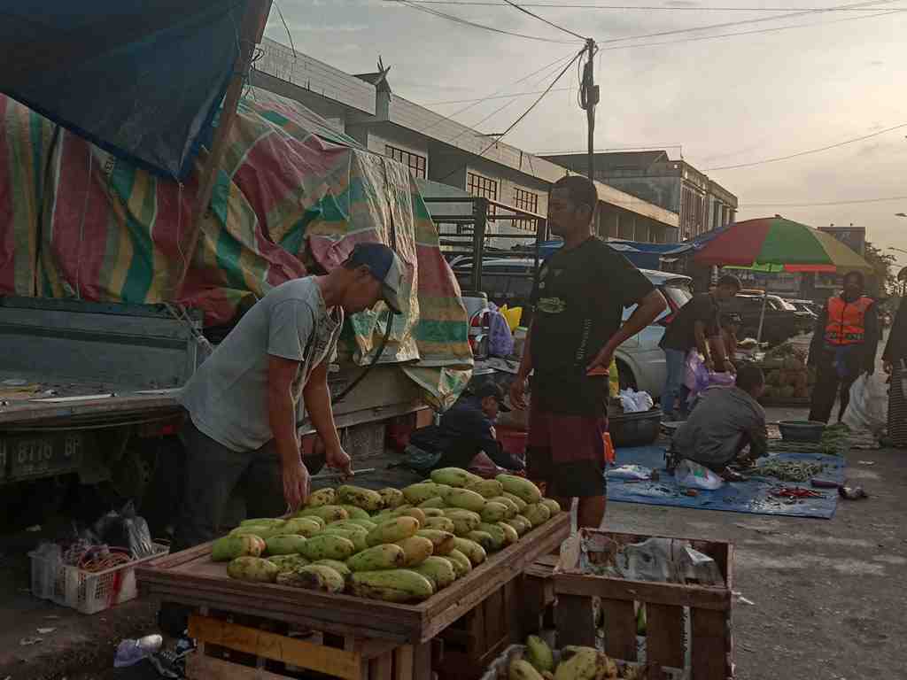 PENJUAL MANGGA GADUNG