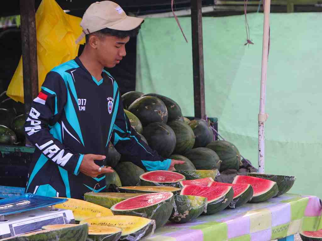 MENATA BUAH SEMANGKA