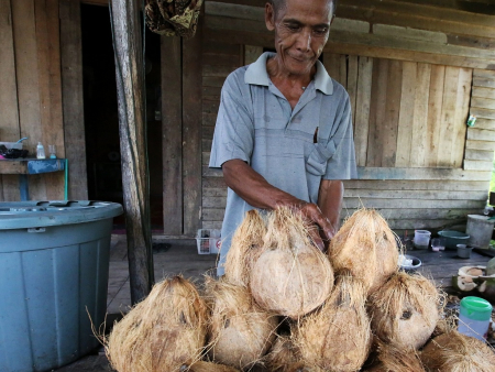 PENJUAL KELAPA TUA