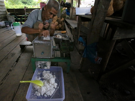 PENJUAL KELAPA PARUT 