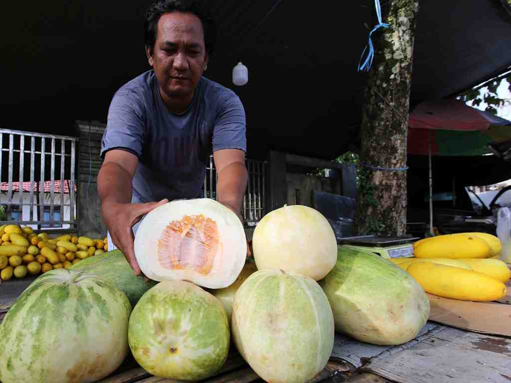 BUAH TIMUN SURI
