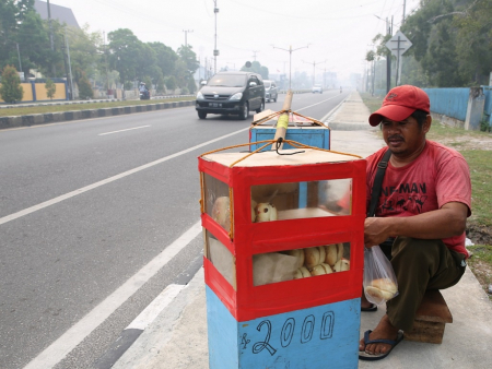 KARENA KABUT ASAP PENJUALAN ROTI MENURUN