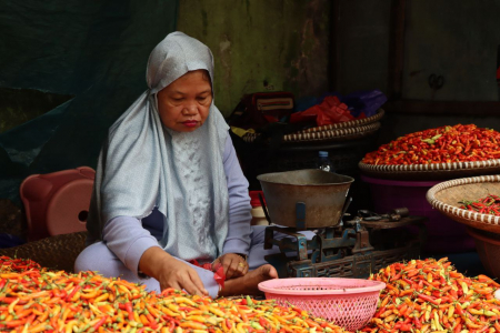 JUAL CABAI MERAH