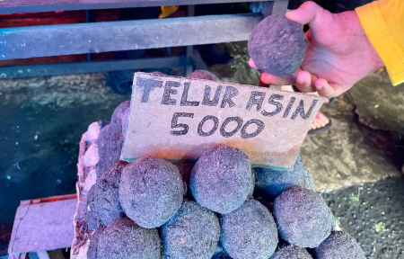 PILIH TELUR ASIN