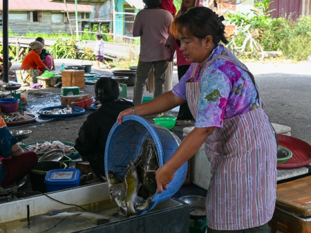 PENJUAL IKAN BAUNG