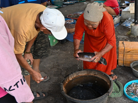 PENJUAL IKAN PEYANG