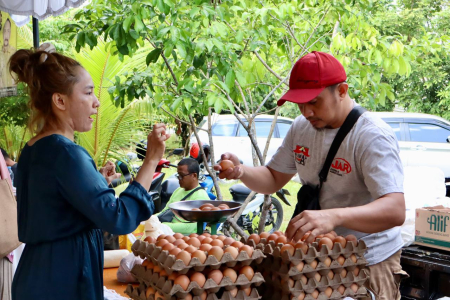 BELI TELUR AYAM RAS