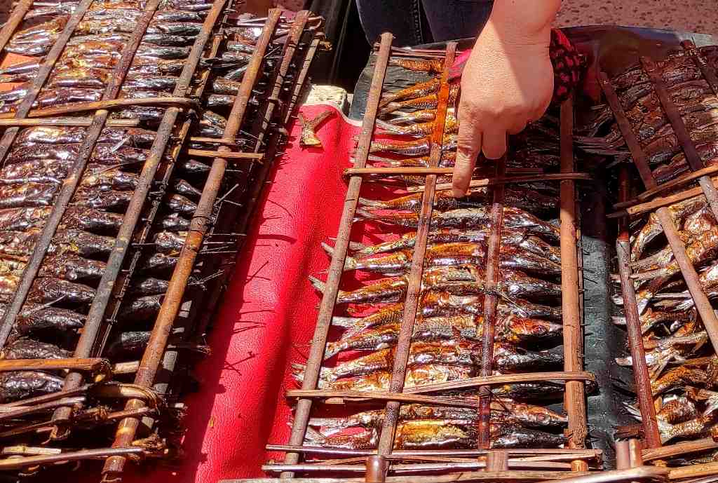 IKAN SAGELA KHAS GORONTALO