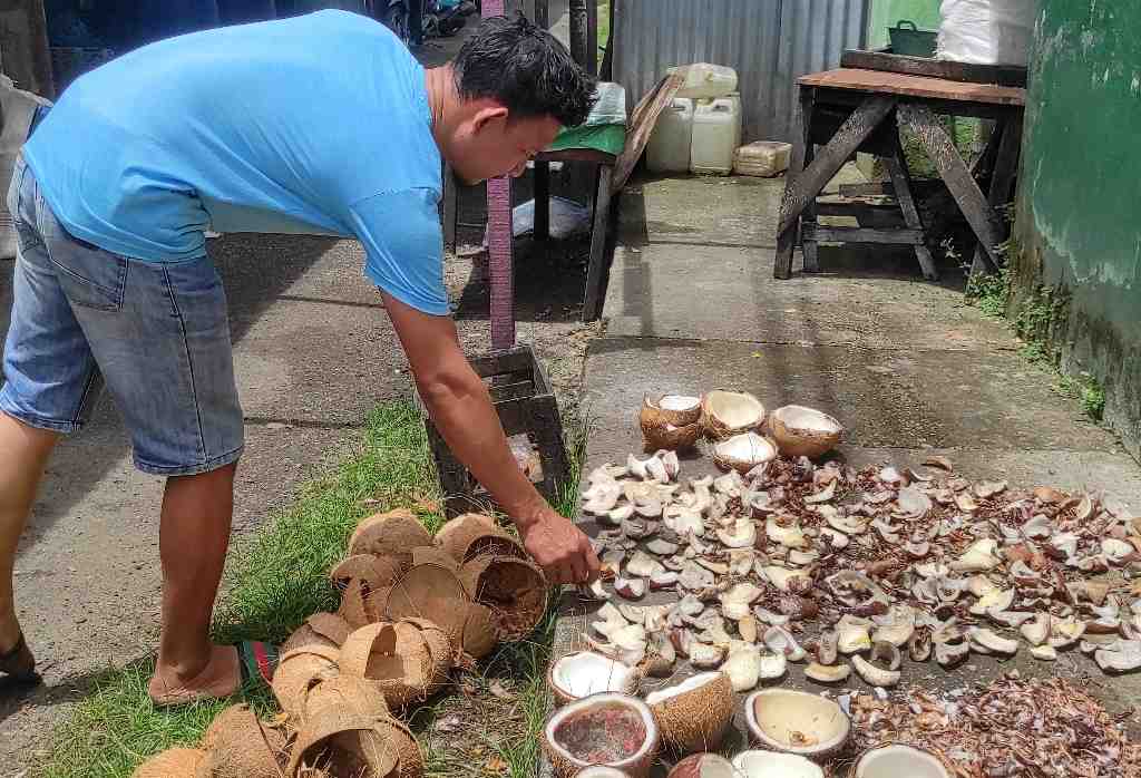 JEMUR KELAPA