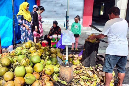 HARGA  KELAPA MUDA NAIK