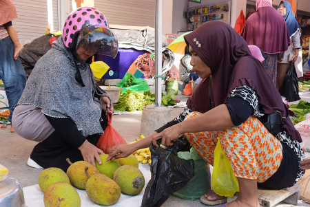 MEMILIH BUAH SUKUN