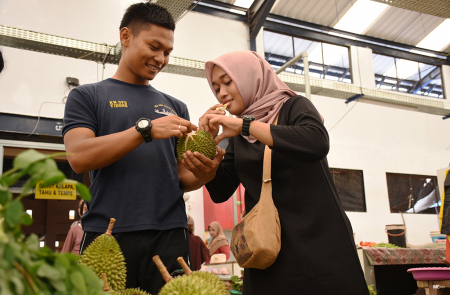 MENCICIPI DURIAN KALAODI