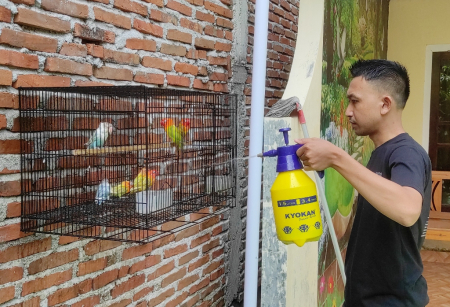 MEMANDIKAN BURUNG CINTA
