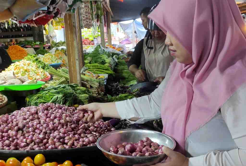 MEMILIH BAWANG MERAH