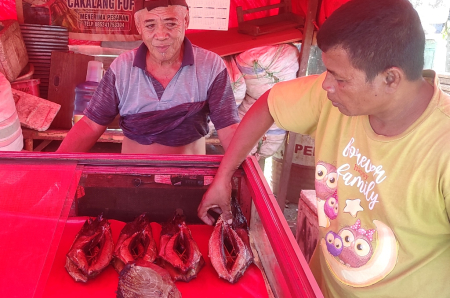 MEMILIH IKAN FUFU