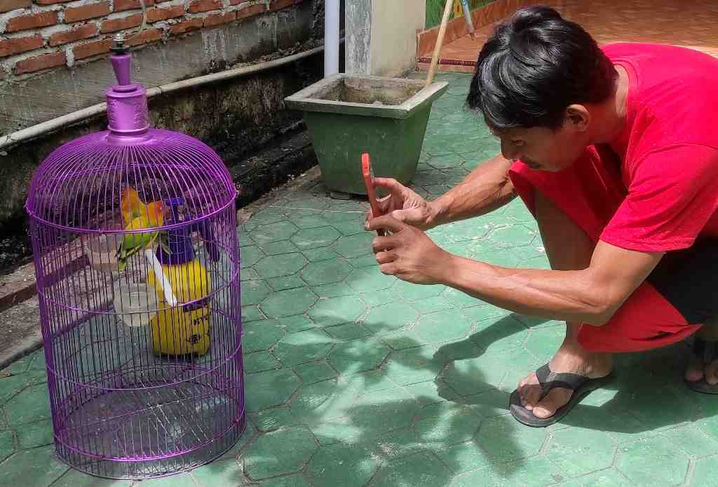 MEMOTRET BURUNG CINTA