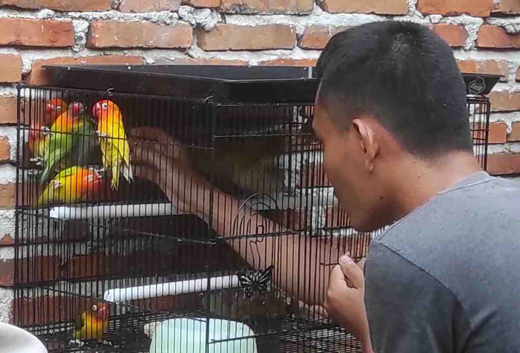 MENANGKAP BURUNG CINTA