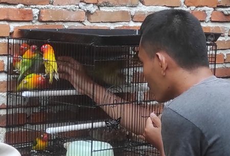 MENANGKAP BURUNG CINTA