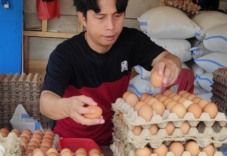 MENYORTIR TELUR