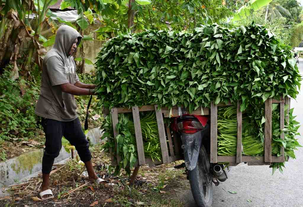 OMZET PENJUAL KANGKUNG