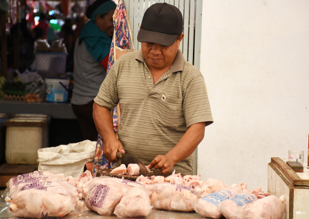HARGA AYAM NAIK