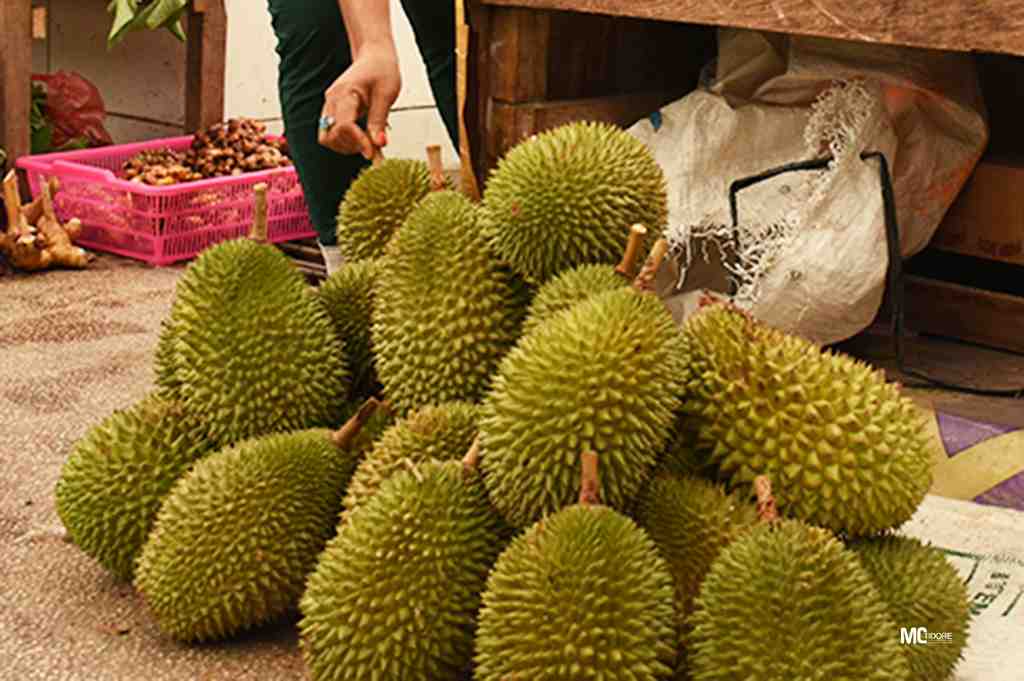 PENJUAL DURIAN KALAODI