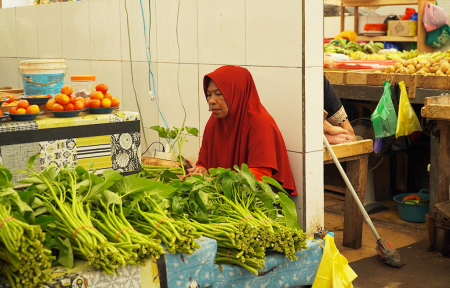 PENJUAL KANGKUNG