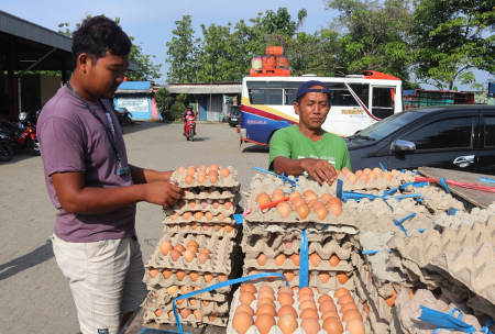 PENJUAL TELUR AYAM RAS