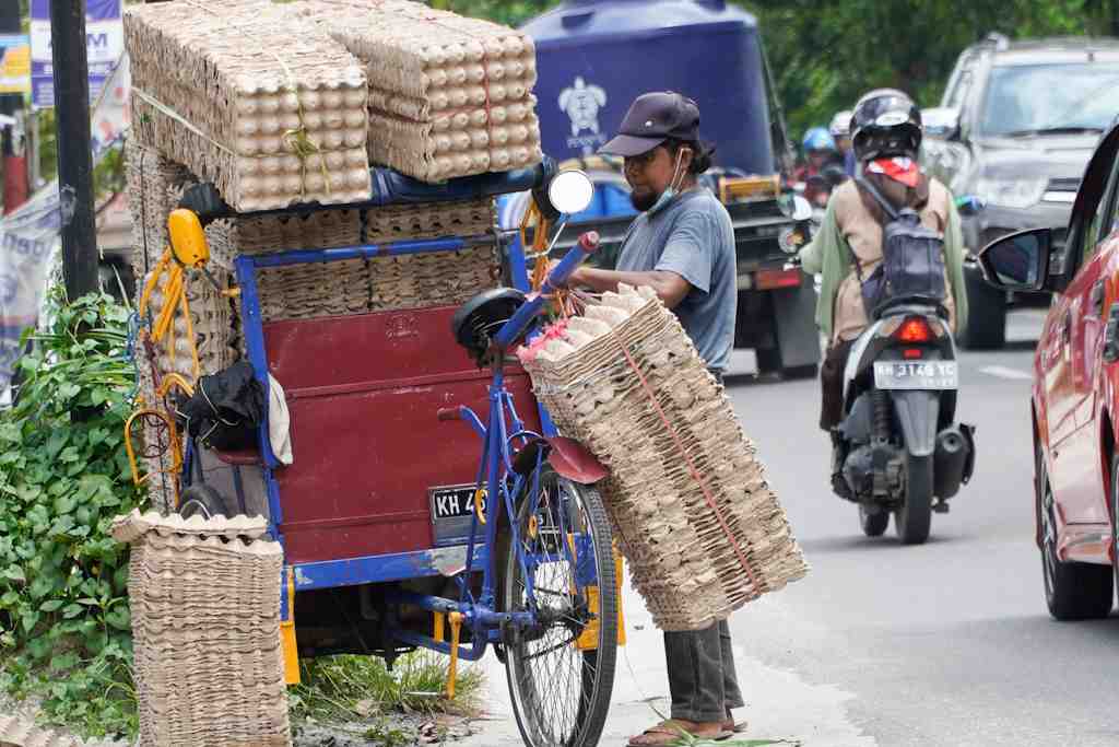 ANGKUT WADAH TELUR