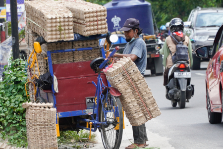 ANGKUT WADAH TELUR