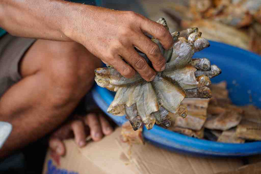 JUAL IKAN SEPAT KERING