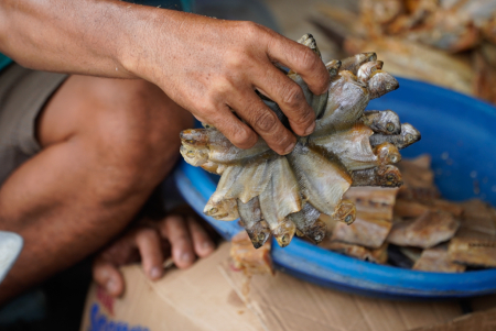 JUAL IKAN SEPAT KERING