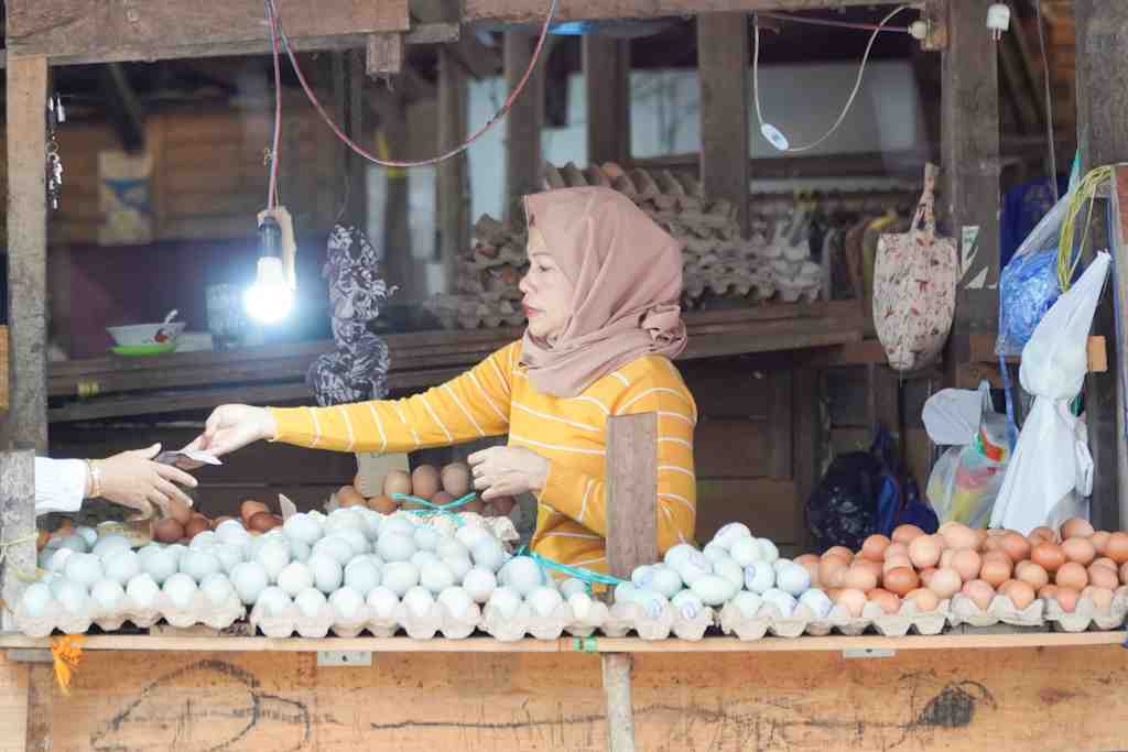 HARGA TELUR STABIL