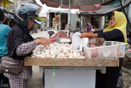 HARGA BAWANG STABIL