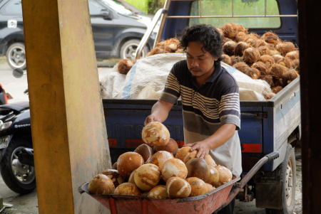 SUSUN KELAPA TUA